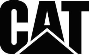 The representation of the trademark CAT