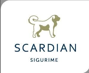 Paraqitja e markës SCARDIAN SIGURIME