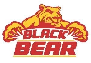 Paraqitja e markës BLACK BEAR
