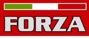 The representation of the trademark FORZA
