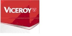 Paraqitja e markës Viceroy