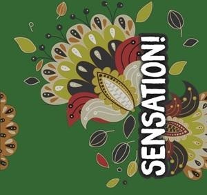 Paraqitja e markës SENSATION!