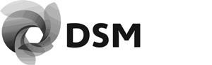 Paraqitja e markës DSM