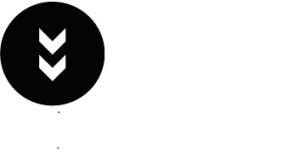 The representation of the trademark Trademark no. 019445