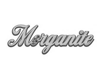 Paraqitja e markës Morganite