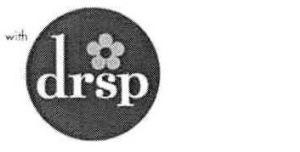 Paraqitja e markës drsp
