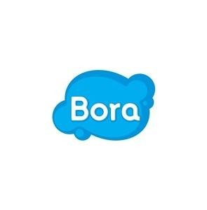 Paraqitja e markës Bora