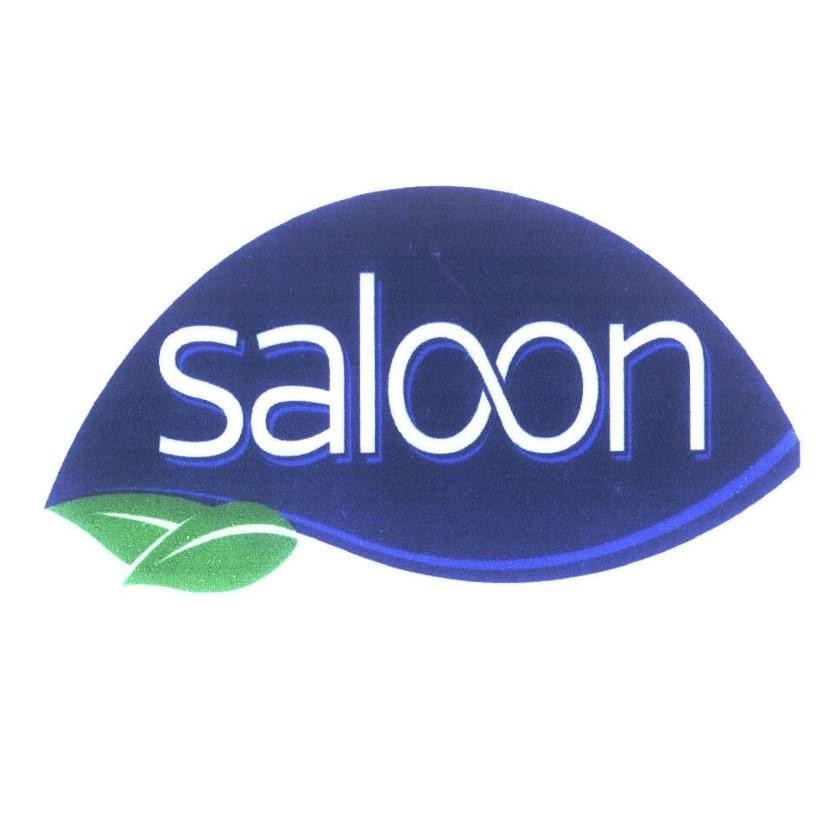 Paraqitja e markës saloon