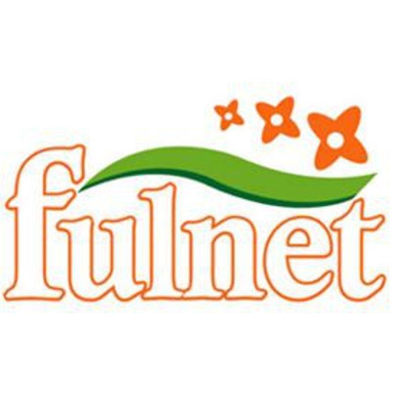 Paraqitja e markës fulnet