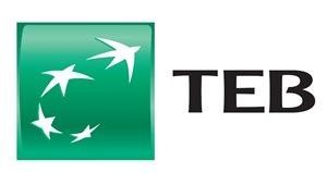 Paraqitja e markës TEB