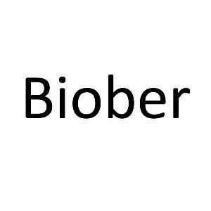 Paraqitja e markës Biober