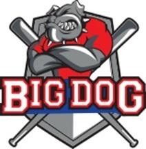 Paraqitja e markës BIG DOG