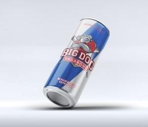 Die Wiedergabe der Marke BIG DOG