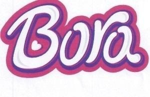 Paraqitja e markës Bora