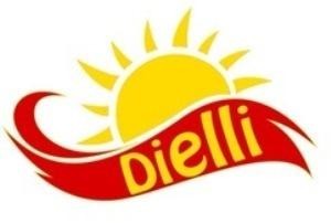 Die Wiedergabe der Marke Dielli