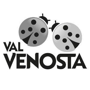 The representation of the trademark VAL VENOSTA