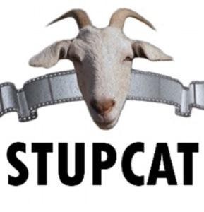 Paraqitja e markës STUPCAT
