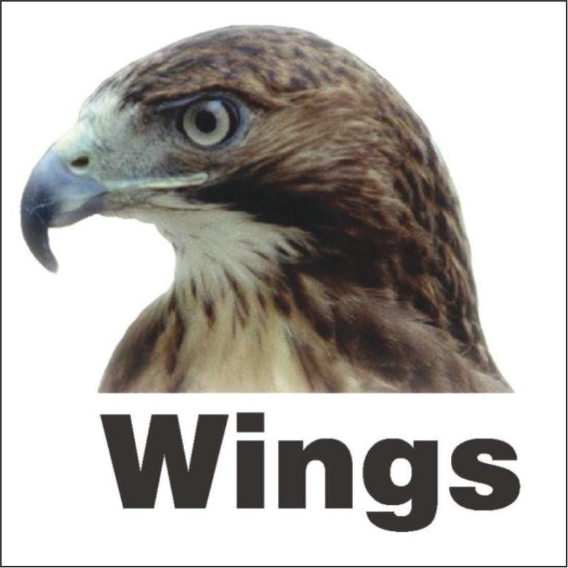 Paraqitja e markës Wings
