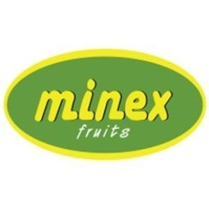 Paraqitja e markës minex