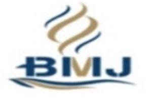 Paraqitja e markës BMJ