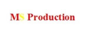 Paraqitja e markës MS Production