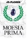 Paraqitja e markës MOESIA PRIMA