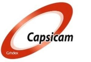 Paraqitja e markës Capsicam