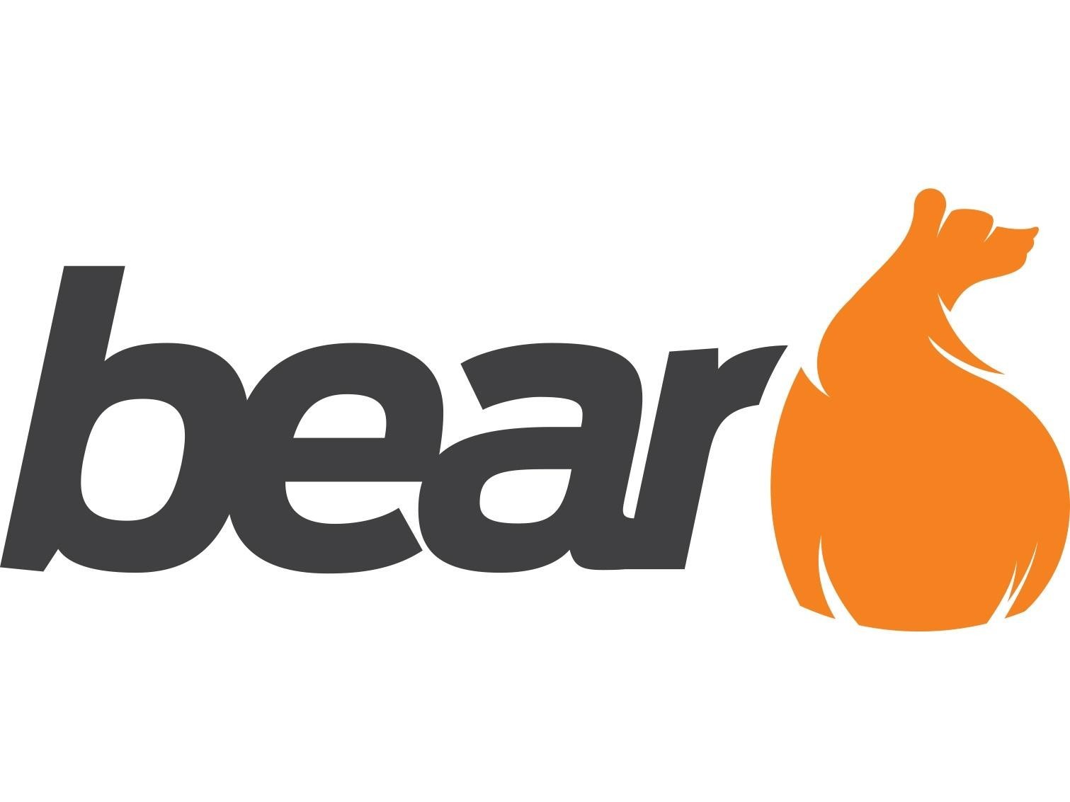 Paraqitja e markës bear
