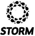 Paraqitja e markës STORM