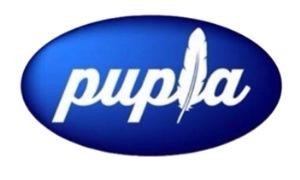 Paraqitja e markës pupla