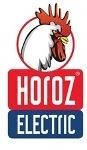 Paraqitja e markës HOROZ ELECTRIC
