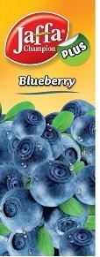 Paraqitja e markës JC Blueberry