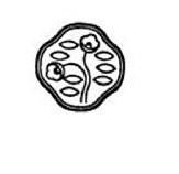 The representation of the trademark Trademark no. 024767