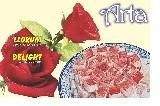 Paraqitja e markës Marka nr. 025752