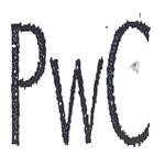 Paraqitja e markës PWC