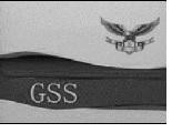 Paraqitja e markës GSS