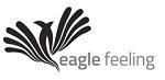 Paraqitja e markës eagle feeling