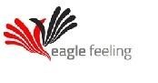 Paraqitja e markës eagle feeling