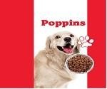 Paraqitja e markës Poppins