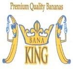 Paraqitja e markës BANA KING