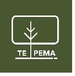 Paraqitja e markës TE PEMA