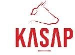 Paraqitja e markës KASAP
