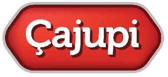 Paraqitja e markës Çajupi