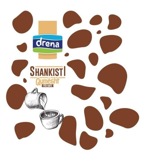 Paraqitja e markës Shankisti