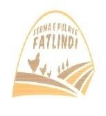 Paraqitja e markës FATLINDI