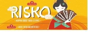 Paraqitja e markës RISKO