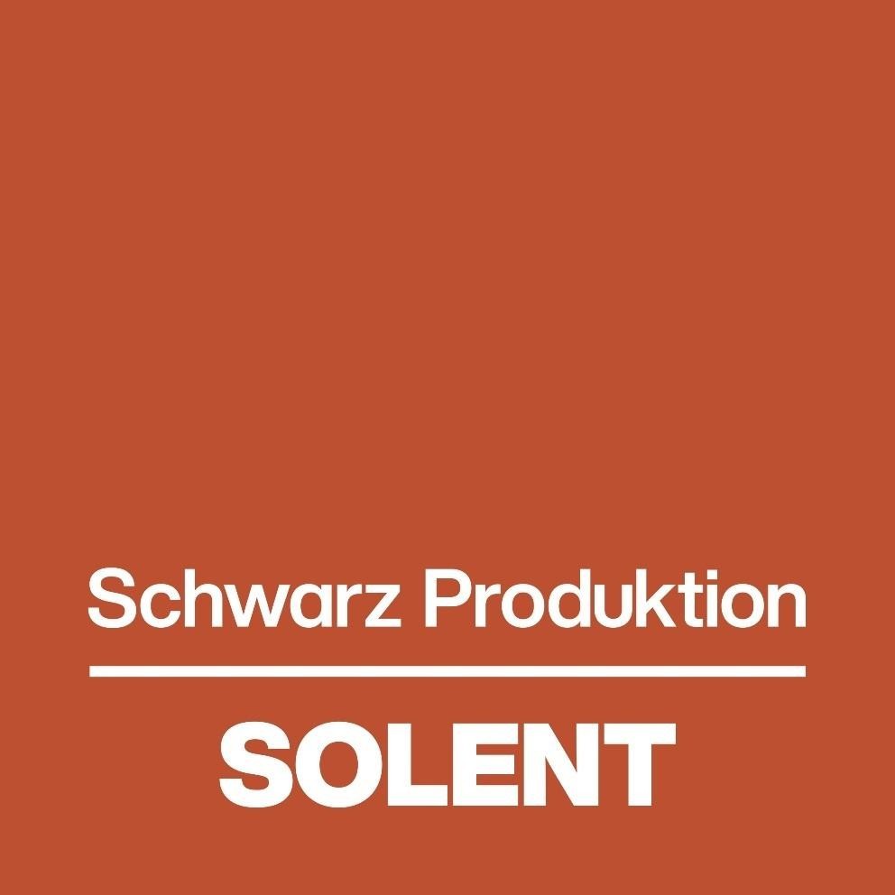 Paraqitja e markës SOLENT