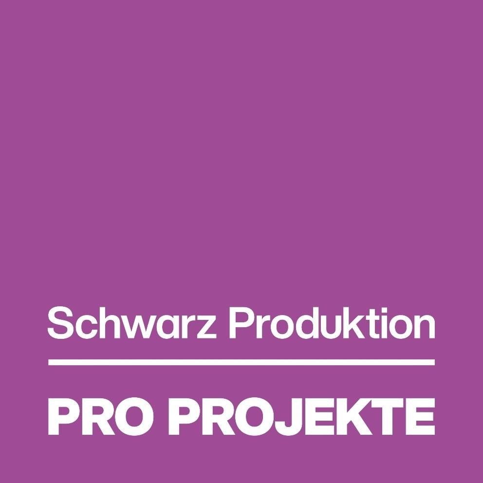 Paraqitja e markës Schwarz Produktion