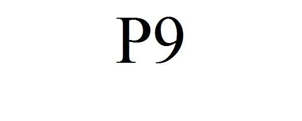 Paraqitja e markës P9