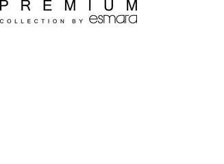 The representation of the trademark PREMIUM